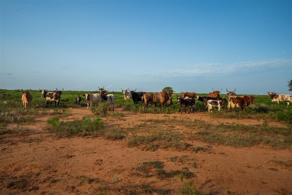 390.08 acres in Wichita County - photo 23