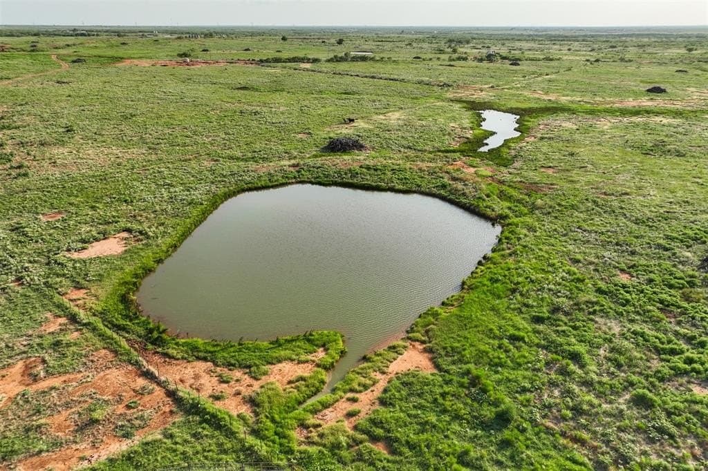 390.08 acres in Wichita County - photo 8