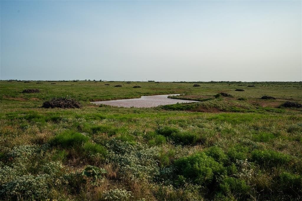 390.08 acres in Wichita County - photo 21