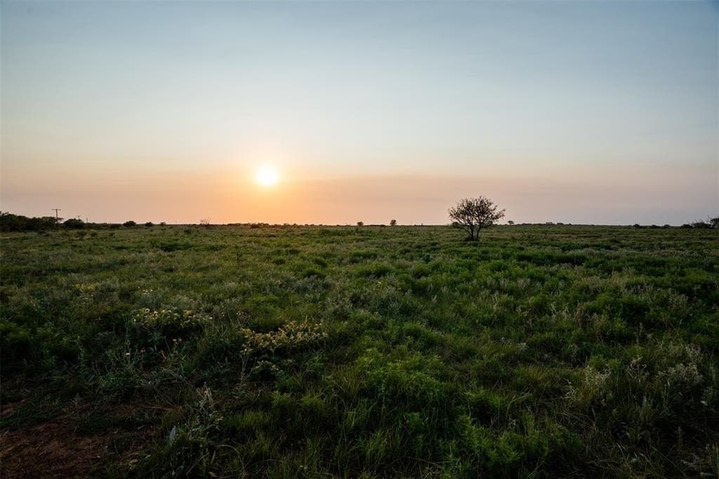 390.08 acres in Wichita County - photo 36