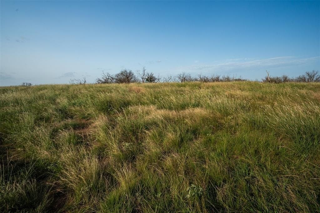 390.08 acres in Wichita County - photo 20