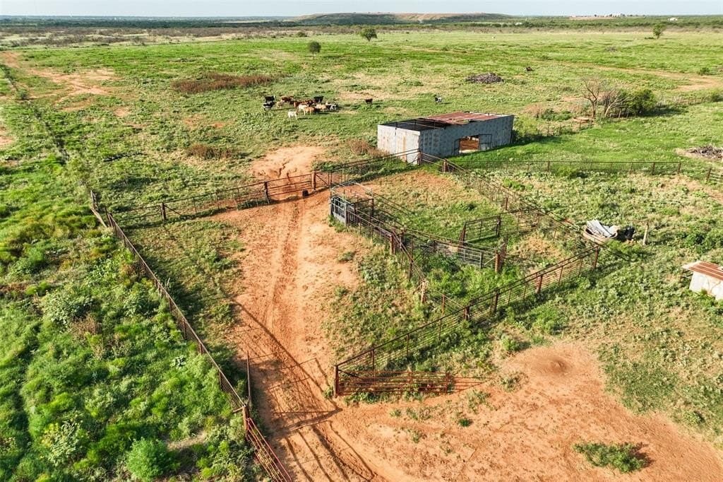 390.08 acres in Wichita County - photo 9