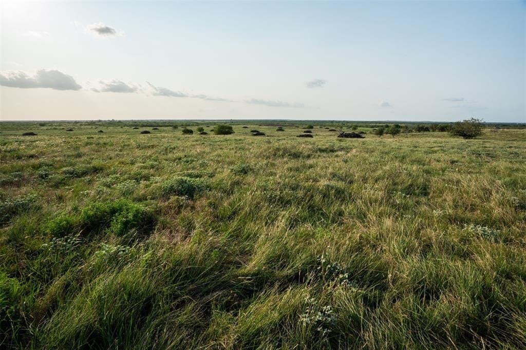 390.08 acres in Wichita County - photo 19