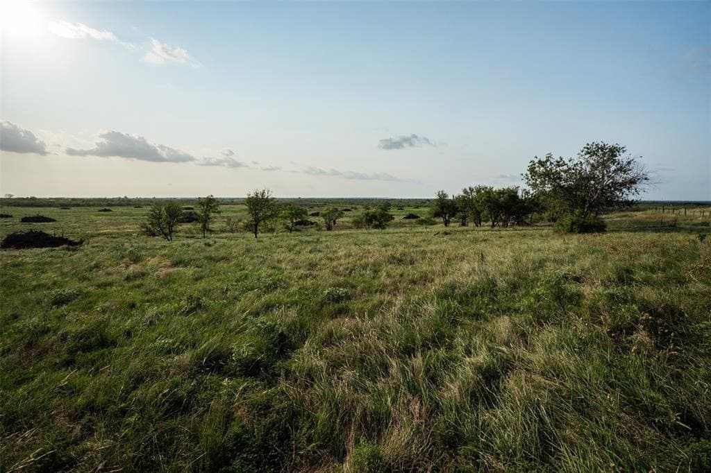 390.08 acres in Wichita County - photo 18
