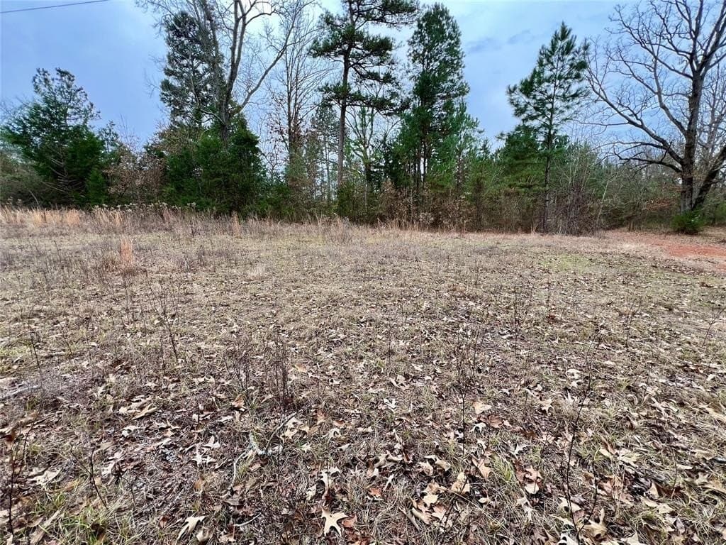 28.09 acres in Upshur County - photo 11