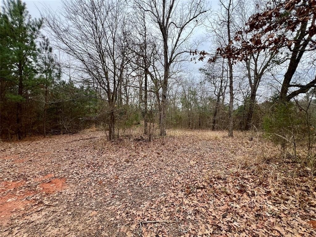 28.09 acres in Upshur County - photo 13