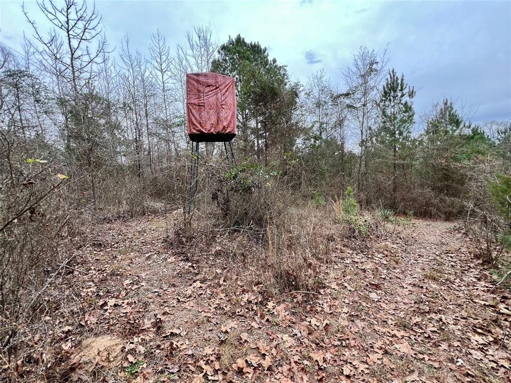 28.09 acres in Upshur County - photo 10
