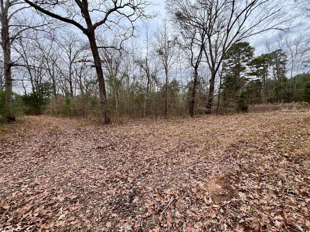 28.09 acres in Upshur County - photo 14