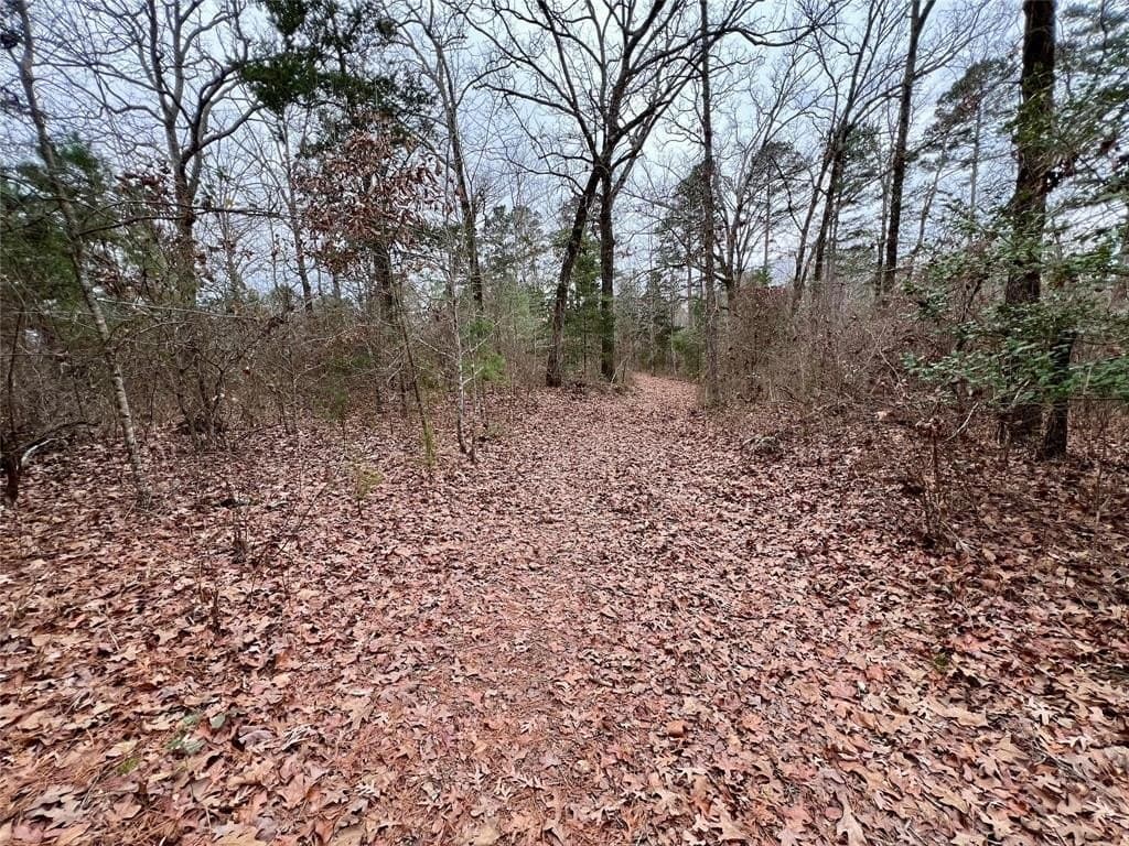28.09 acres in Upshur County - photo 16