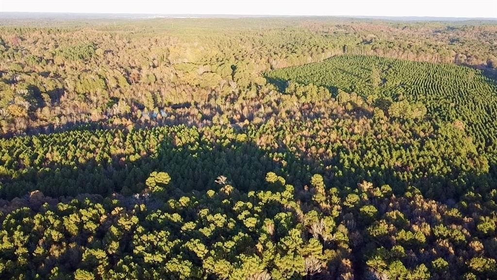 28.09 acres in Upshur County - photo 9
