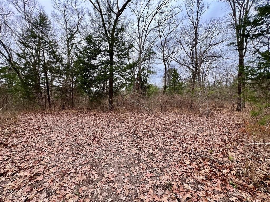 28.09 acres in Upshur County - photo 15