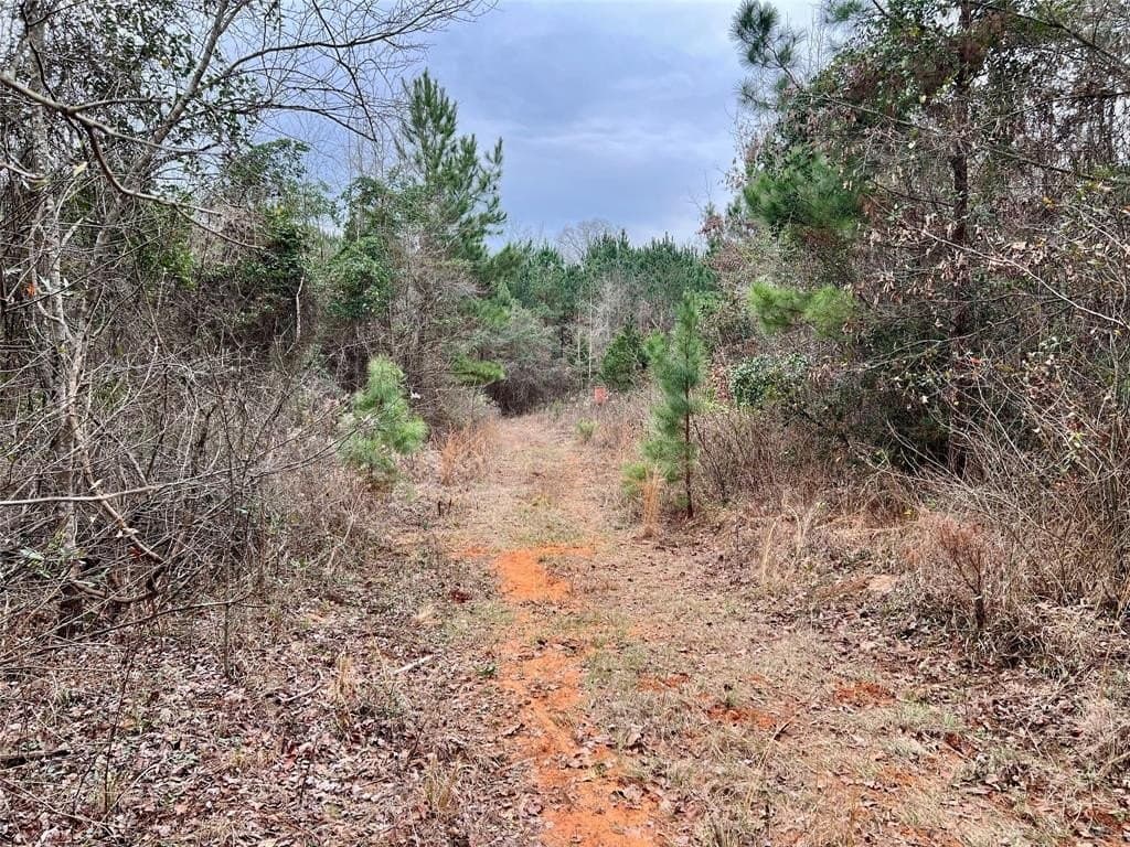 28.09 acres in Upshur County - photo 19