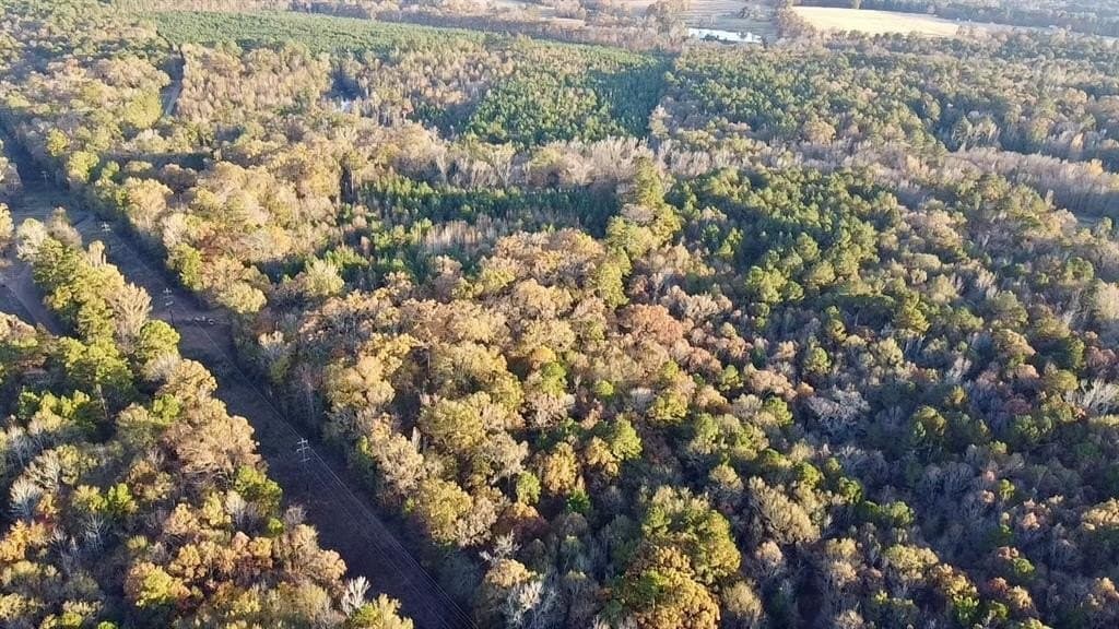28.09 acres in Upshur County - photo 3