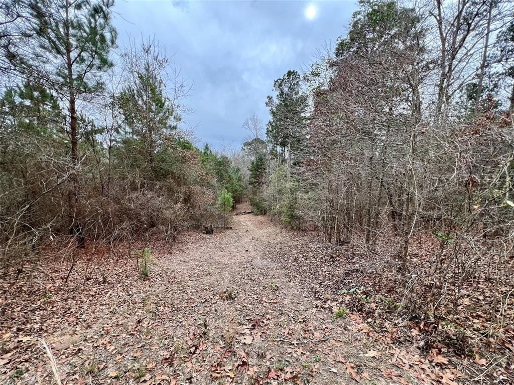 28.09 acres in Upshur County - photo 17