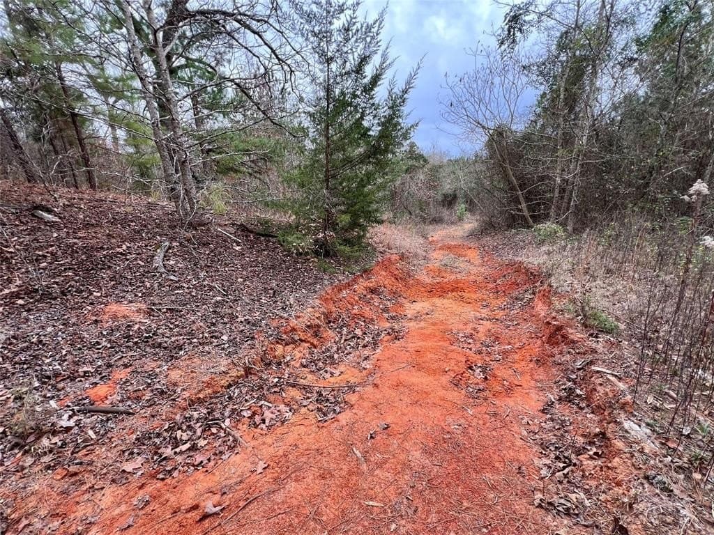 28.09 acres in Upshur County - photo 18