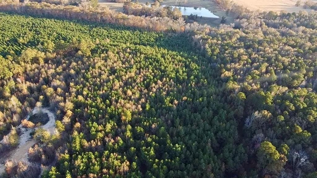 28.09 acres in Upshur County - photo 6