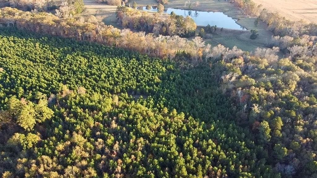 28.09 acres in Upshur County - photo 7