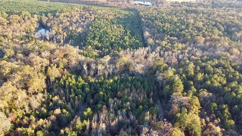 28.09 acres in Upshur County - photo 4