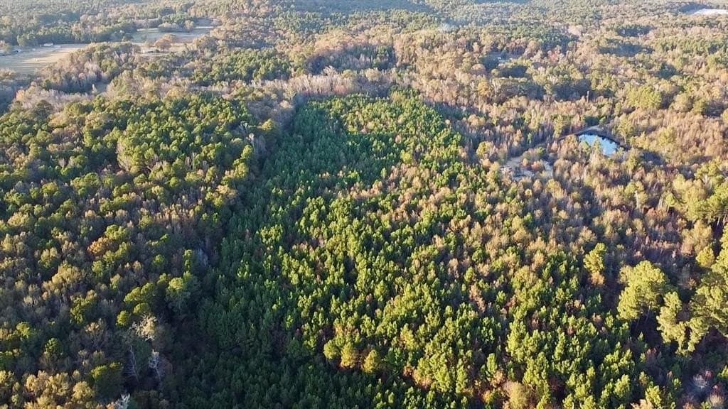 28.09 acres in Upshur County - photo 8