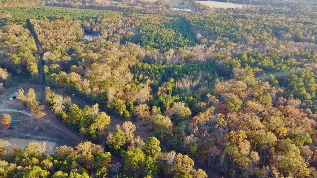 28.09 acres in Upshur County - photo 2