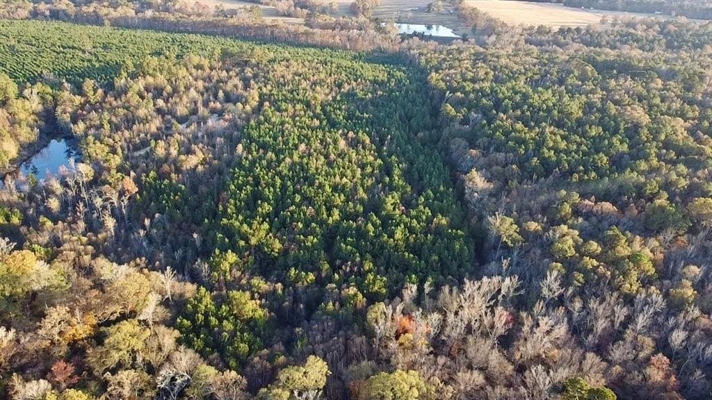 28.09 acres in Upshur County - photo 5