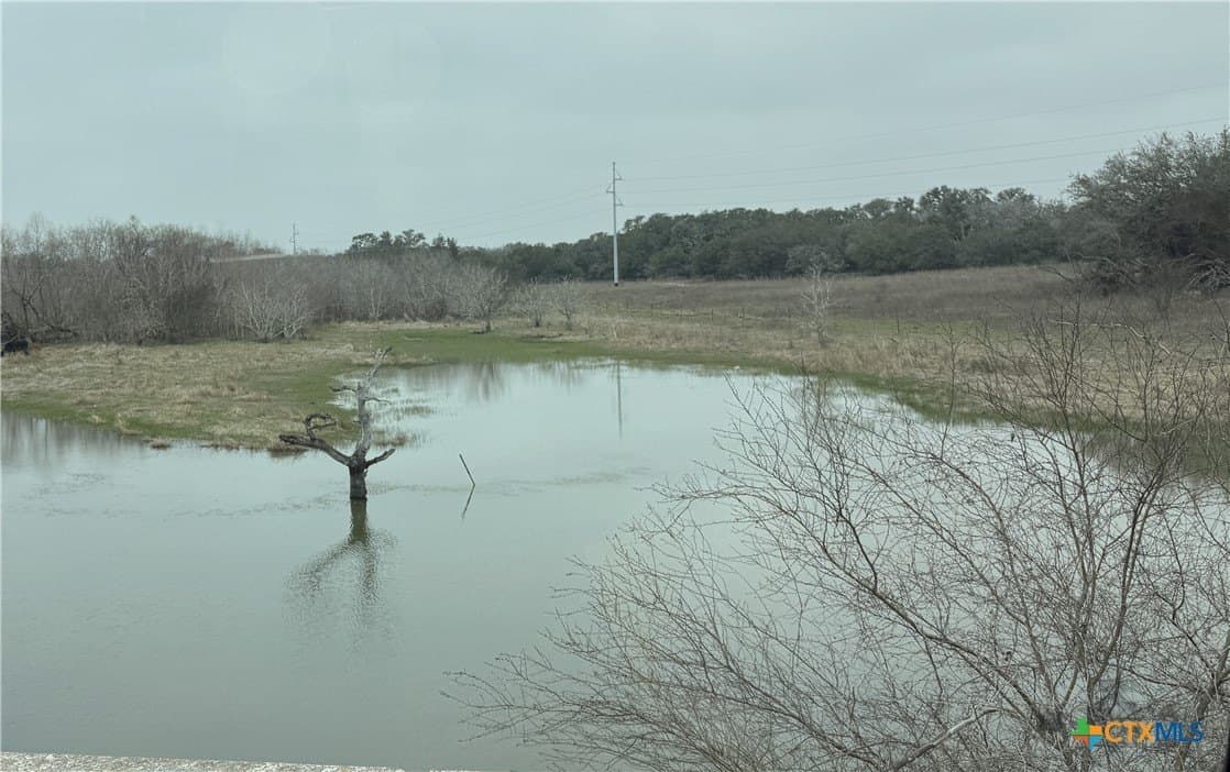 119.72 acres in Goliad County - photo 6