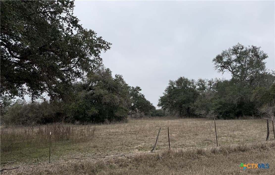 119.72 acres in Goliad County - photo 5