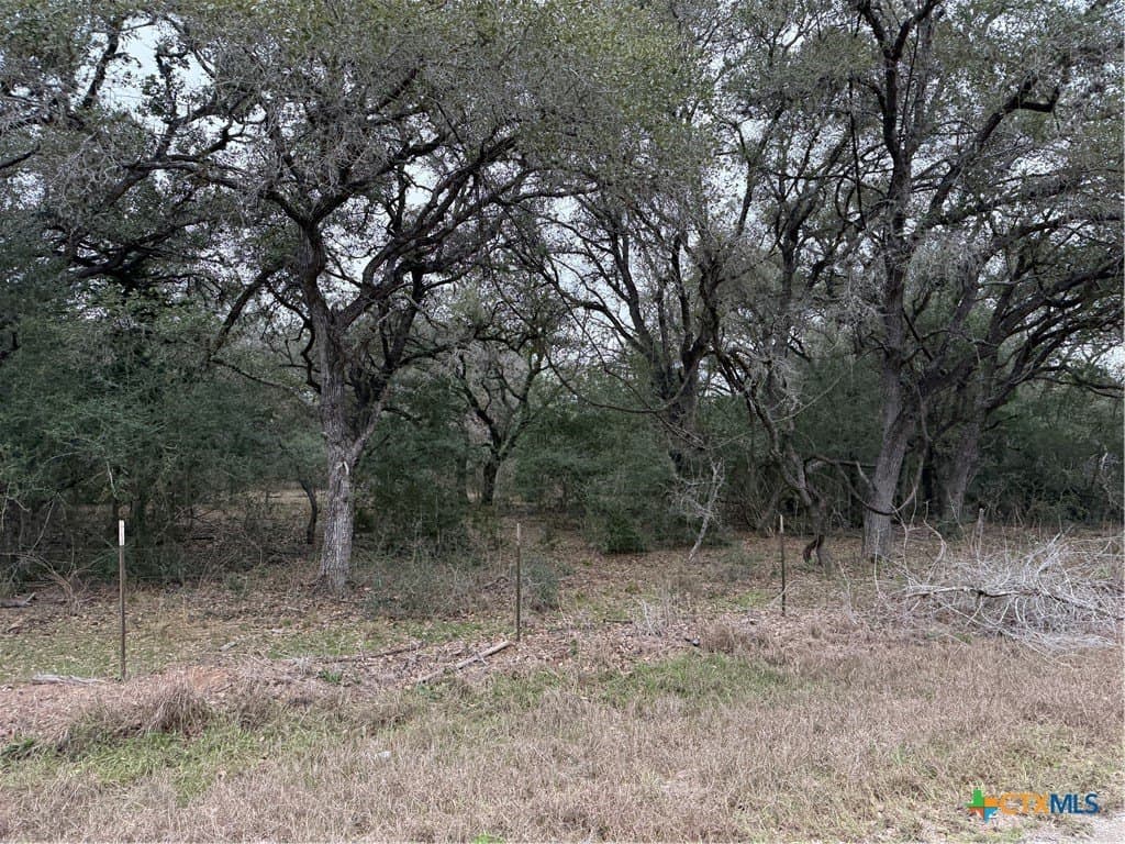 119.72 acres in Goliad County - photo 4