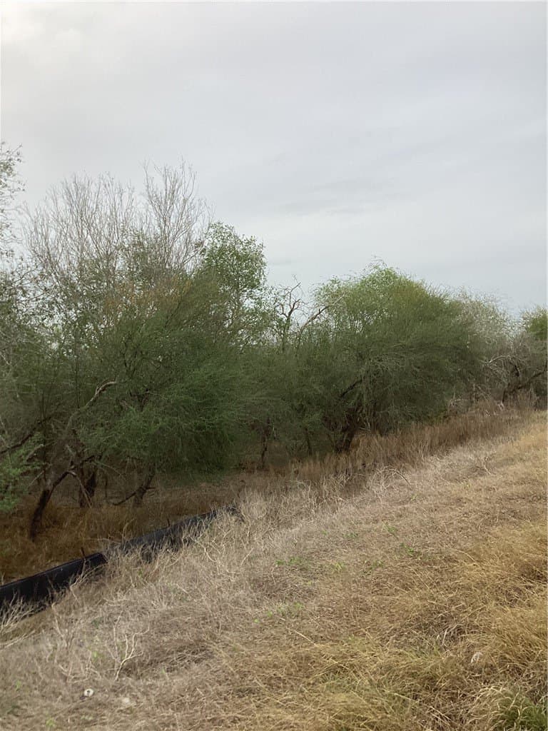 1.9 acres in Jim Wells County - photo 2
