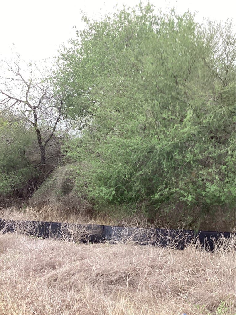 1.9 acres in Jim Wells County - photo 3