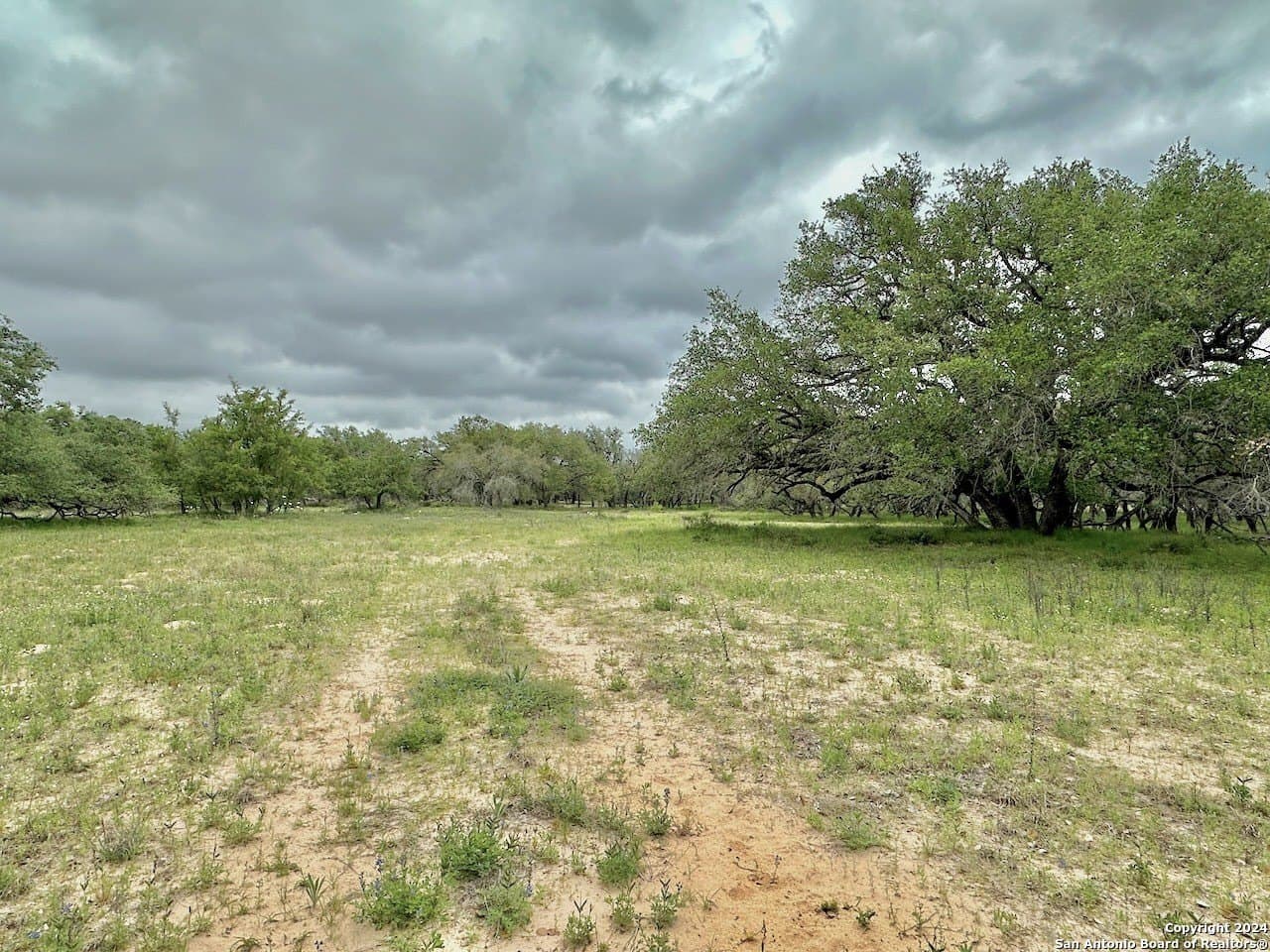 35 acres in Medina County - photo 21