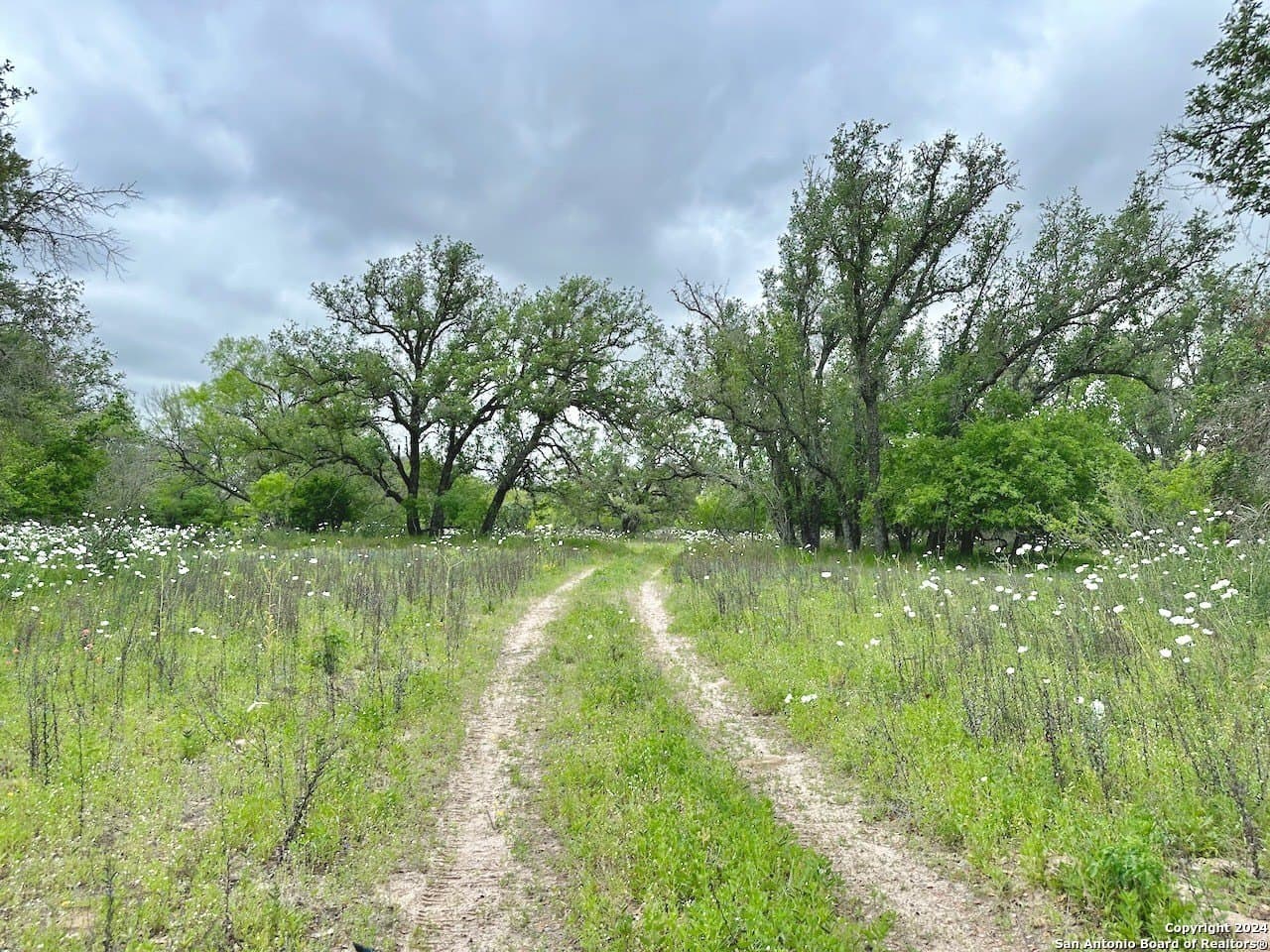 35 acres in Medina County - photo 11