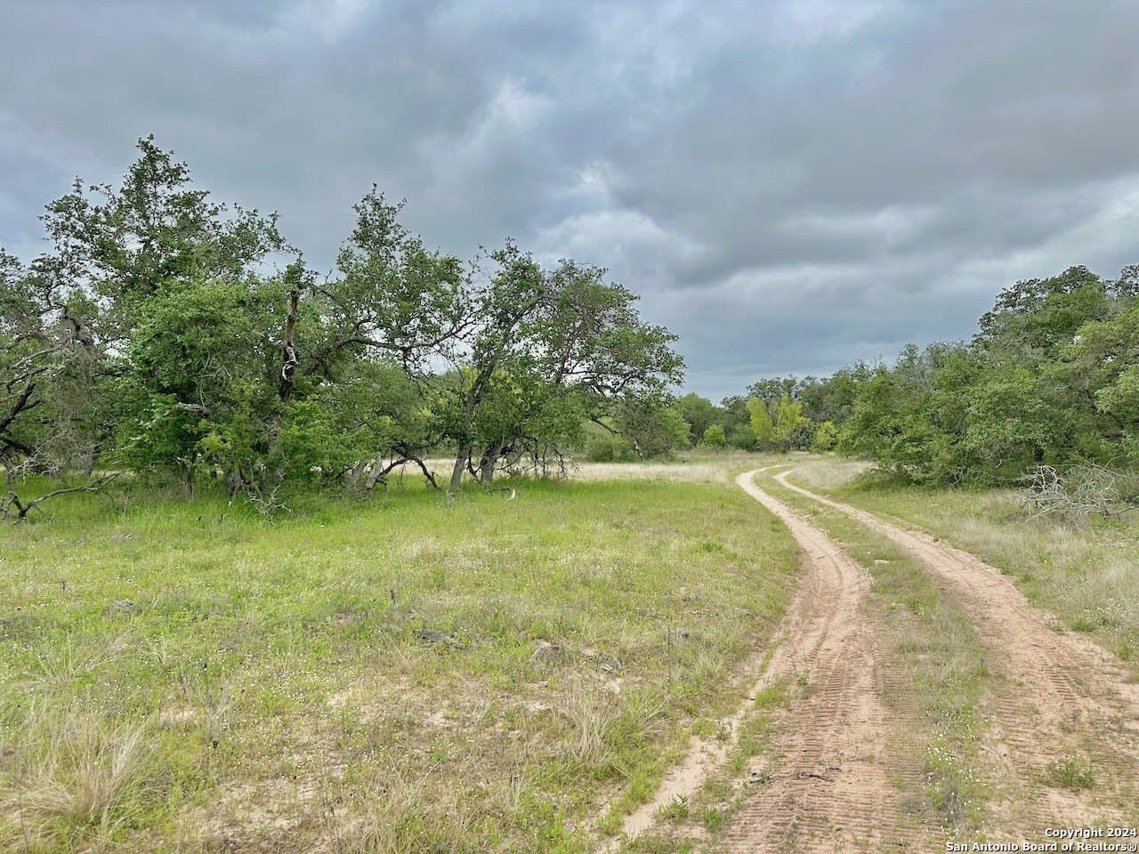 35 acres in Medina County - photo 23