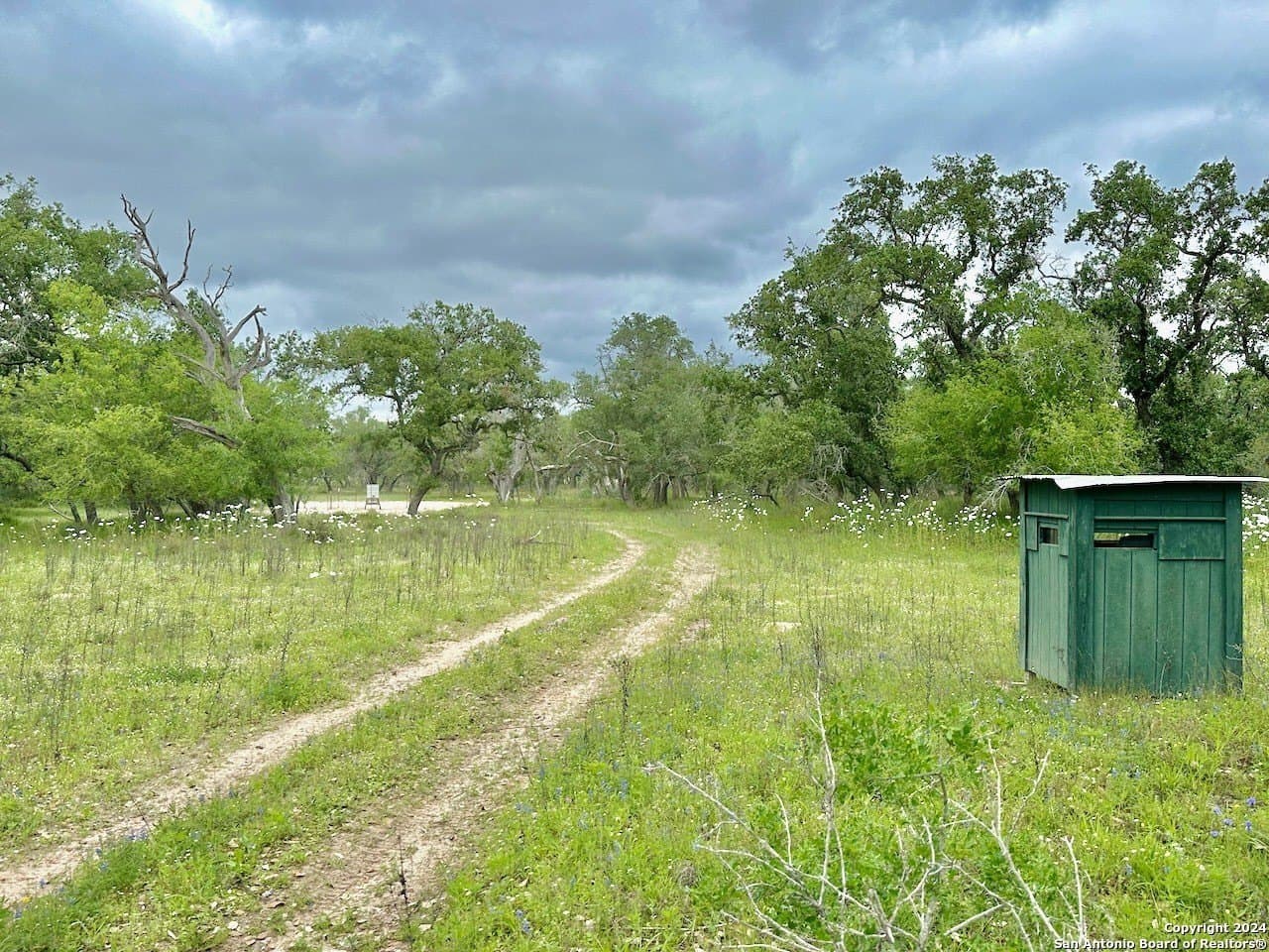 35 acres in Medina County - photo 14