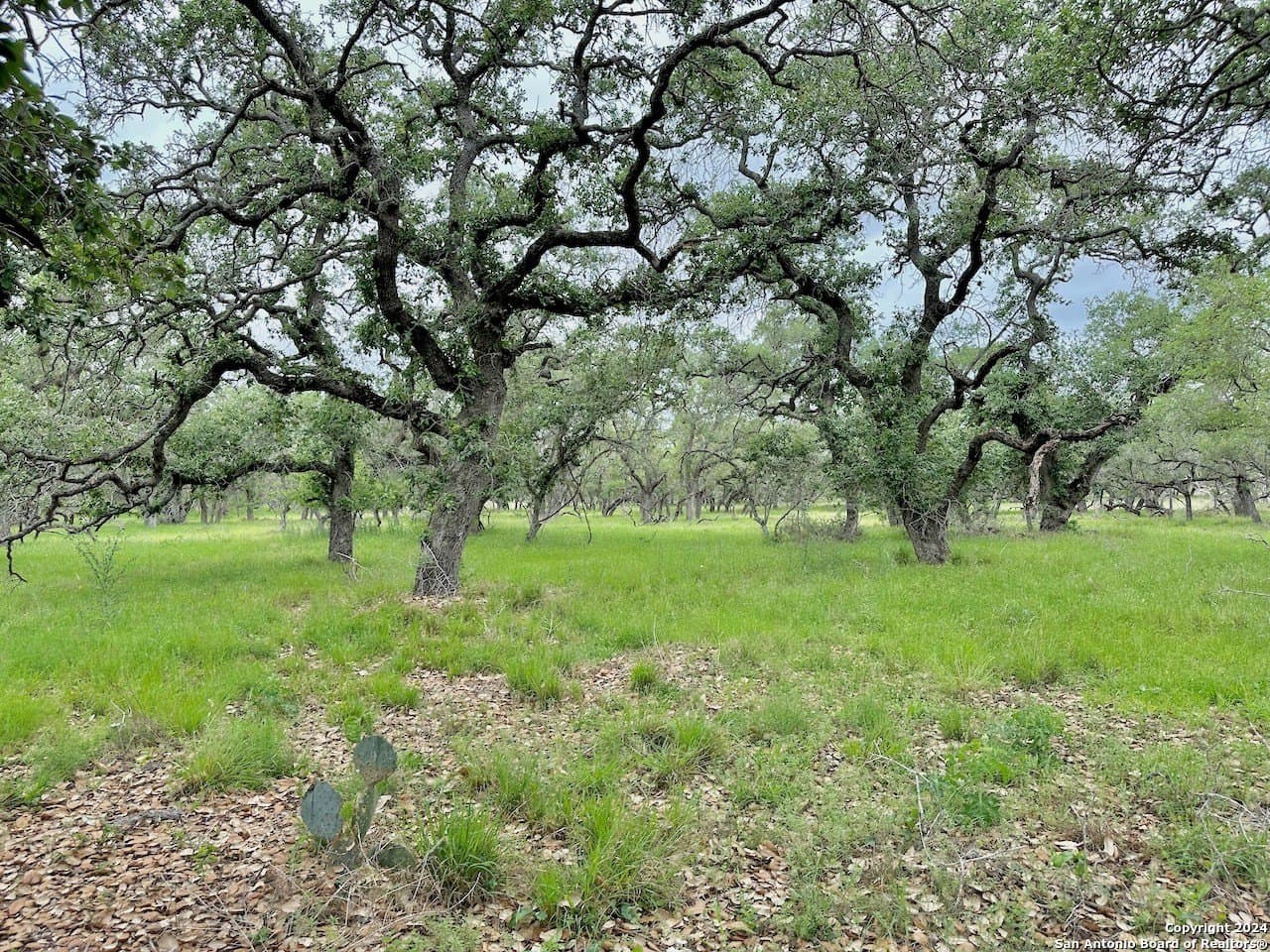 35 acres in Medina County - photo 22