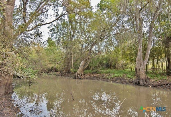 179.97 acres in Jackson County - photo 6