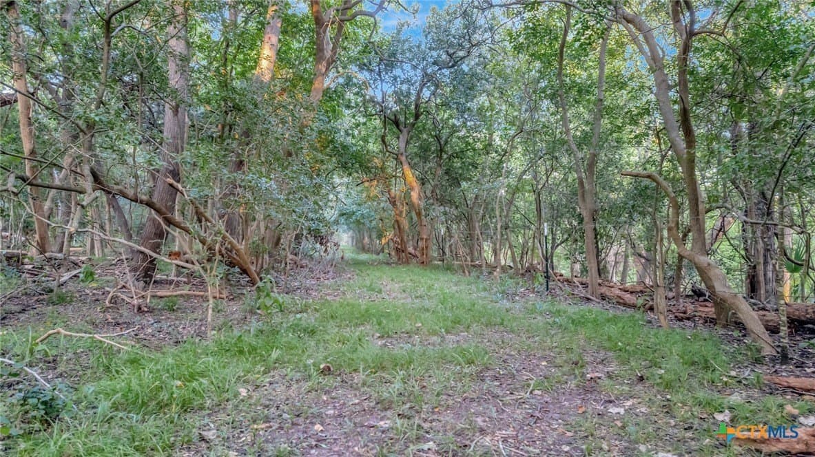 179.97 acres in Jackson County - photo 17