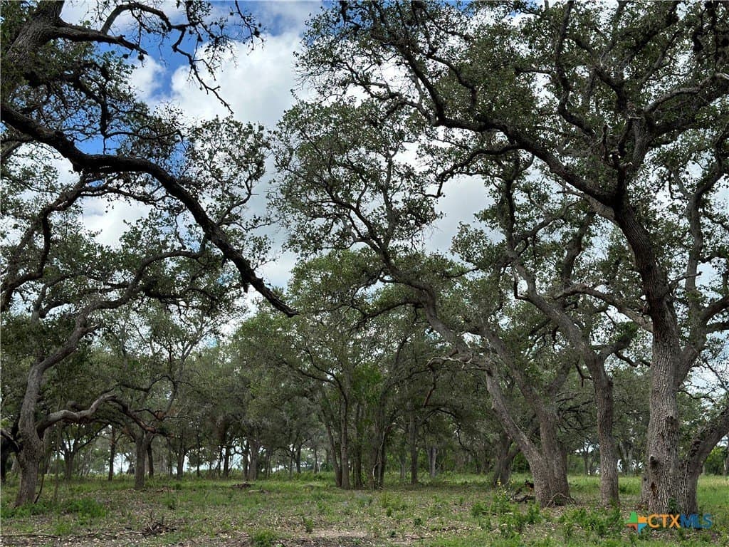 10.98 acres in Goliad County - photo 3