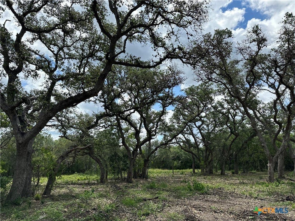 10.98 acres in Goliad County - photo 2