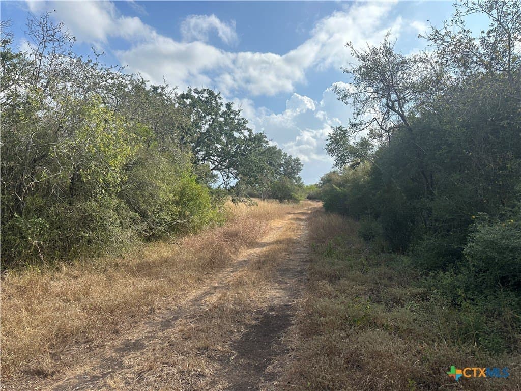 10.98 acres in Goliad County - photo 5