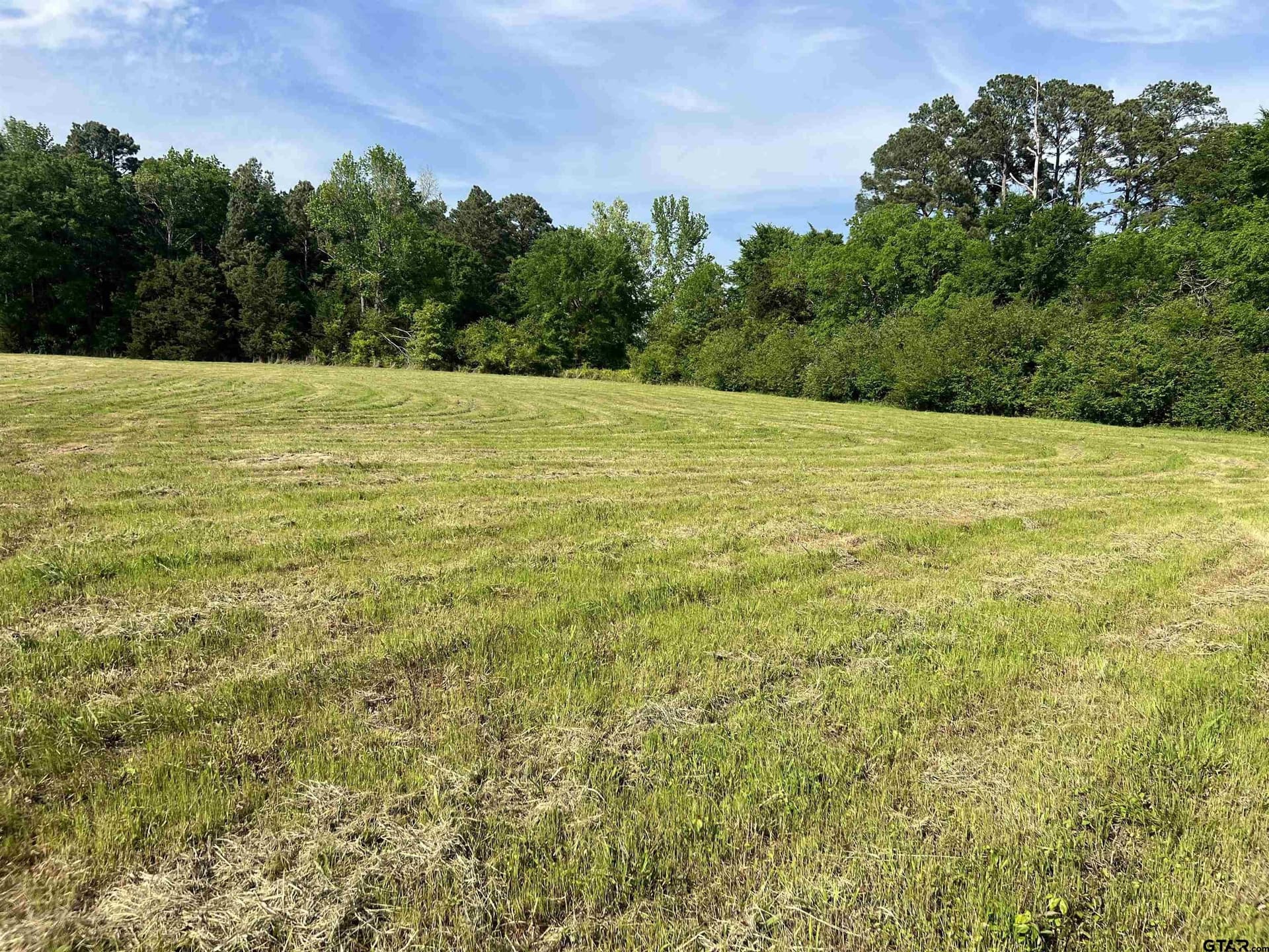 10.71 acres in Cass County - photo 5
