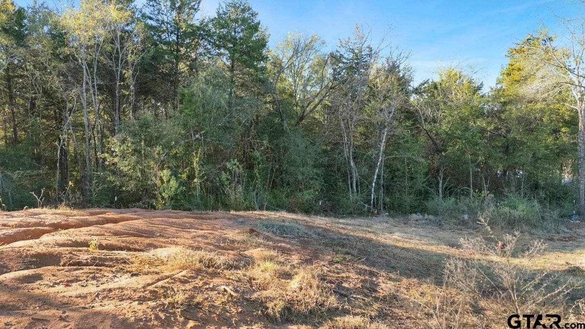 0.65 acres in Smith County - photo 7
