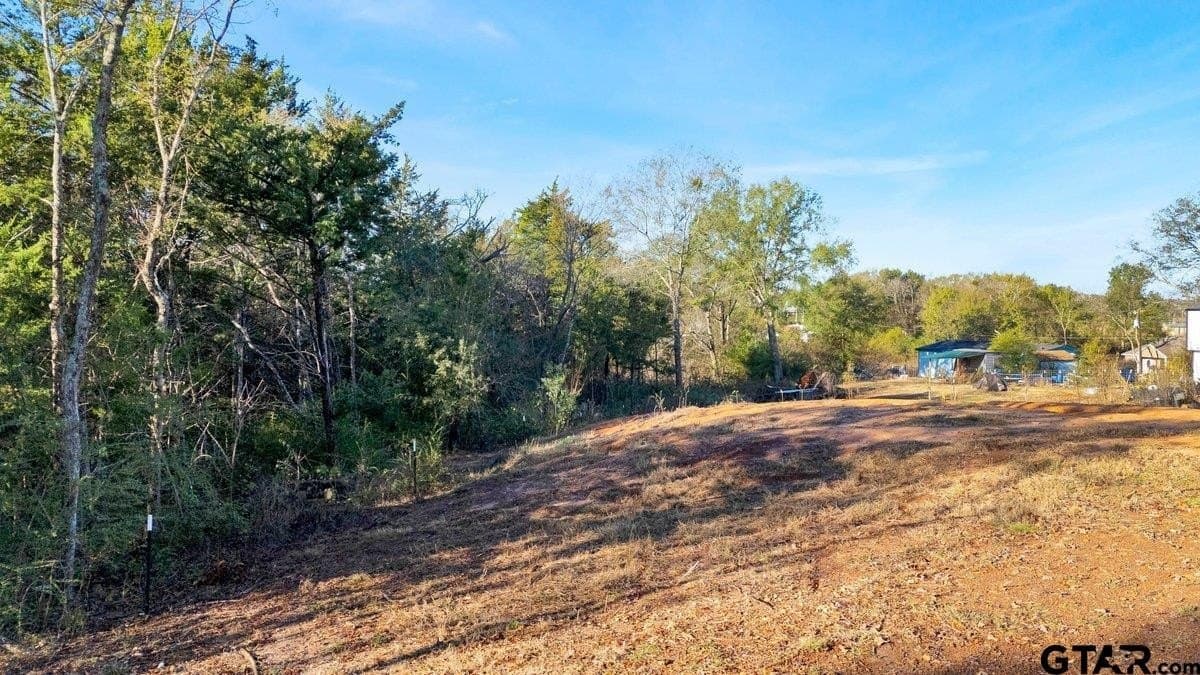 0.65 acres in Smith County - photo 4