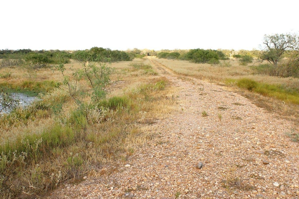 10 acres in Colorado County - photo 2