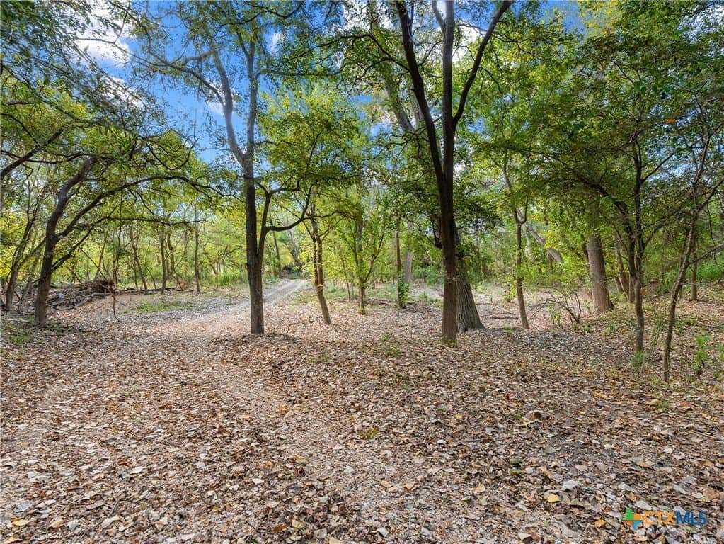 16.13 acres in Guadalupe County - photo 10