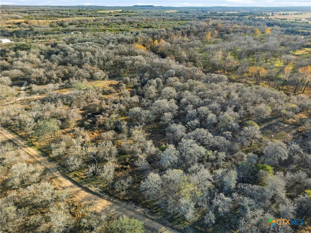 16.13 acres in Guadalupe County - photo 33