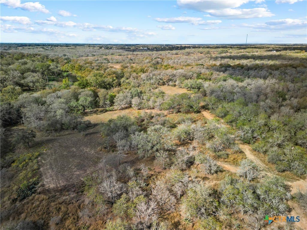 16.13 acres in Guadalupe County - photo 24