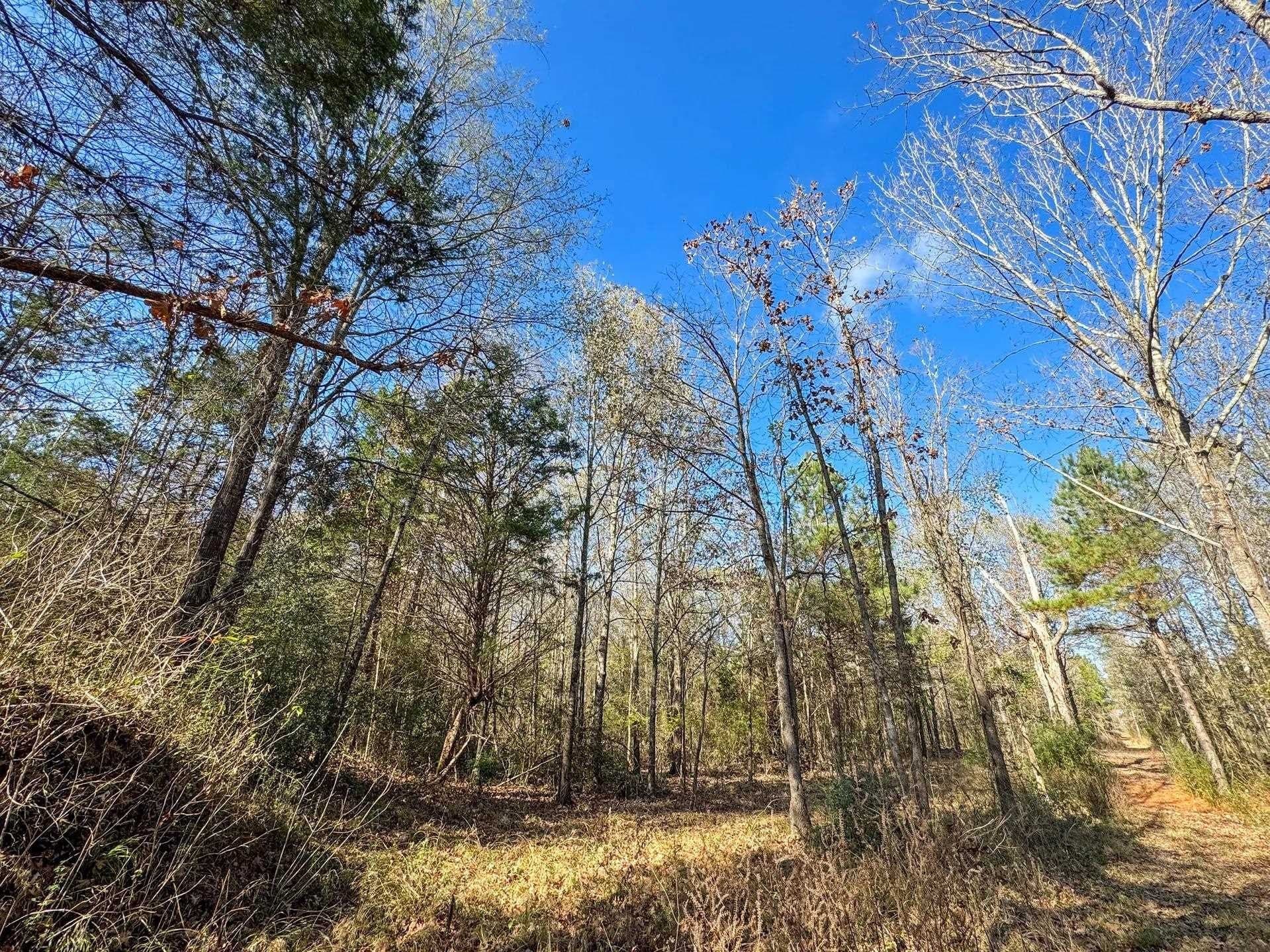 13.66 acres in Cass County - photo 5