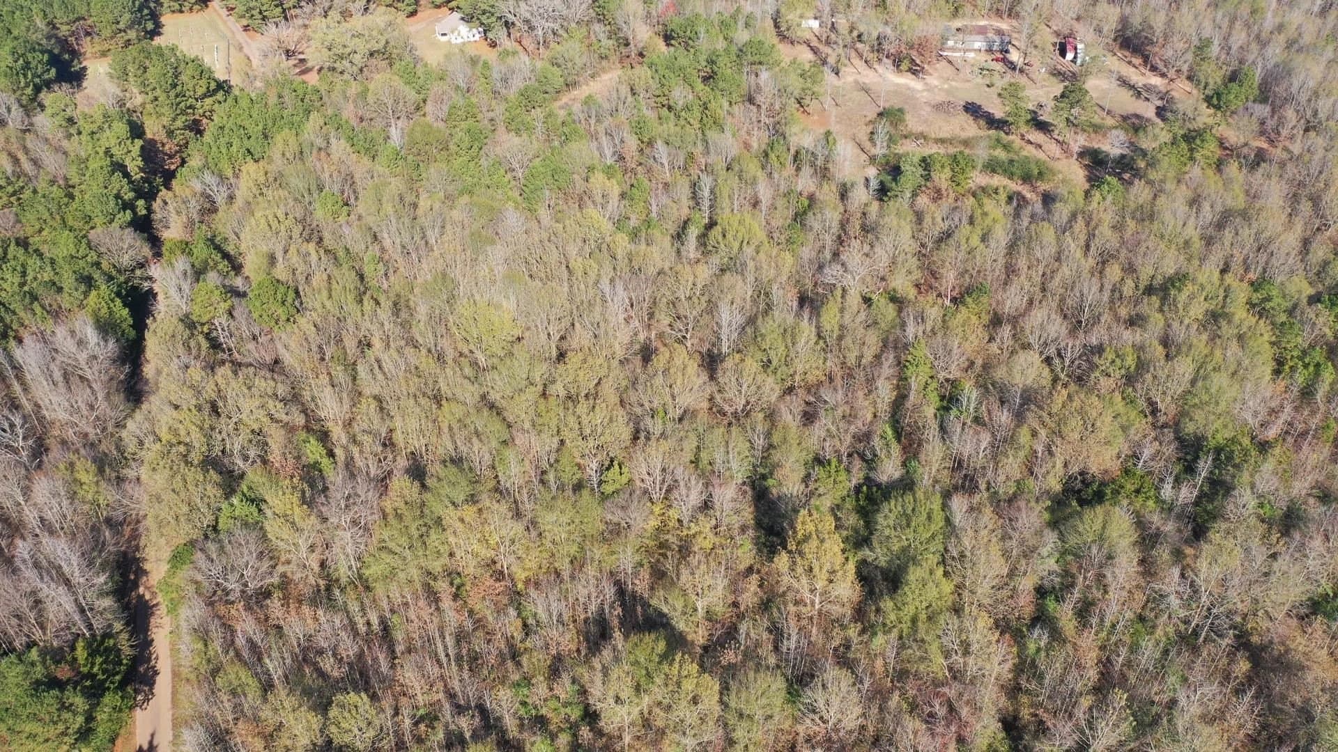 13.66 acres in Cass County - photo 3