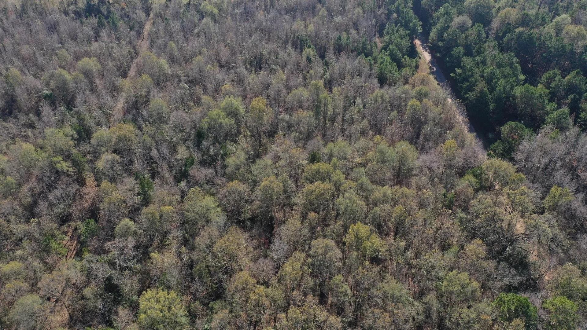 13.66 acres in Cass County - photo 2